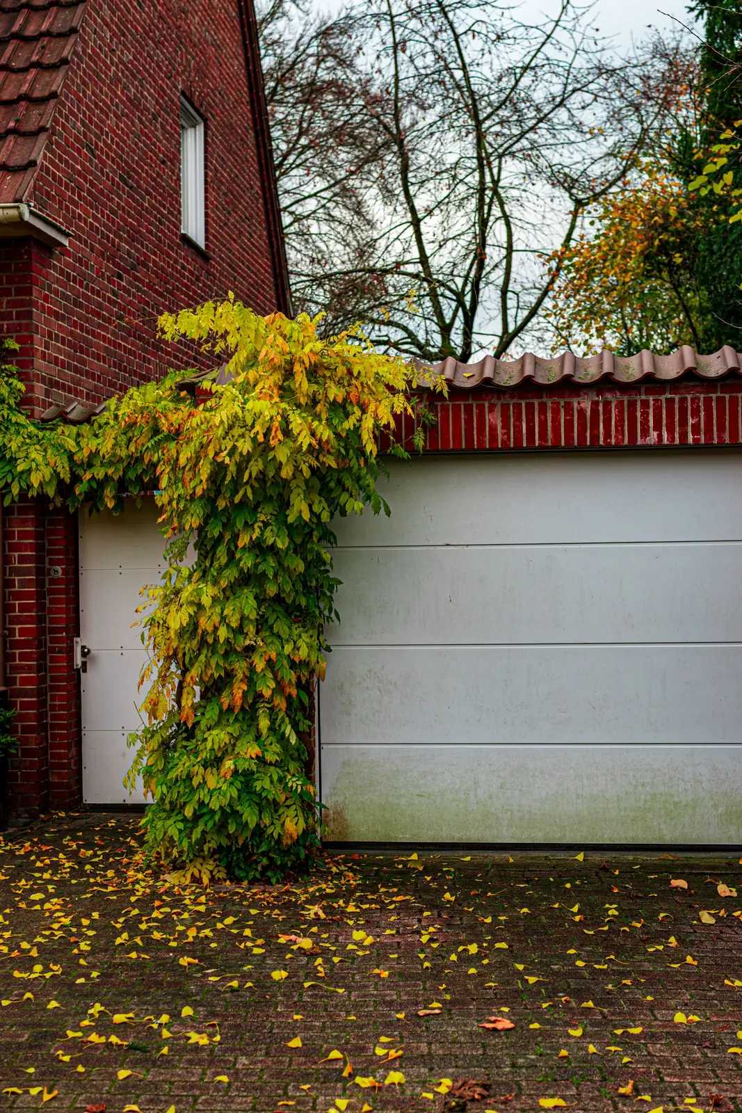 Home garage door beside a brick house in autumn
