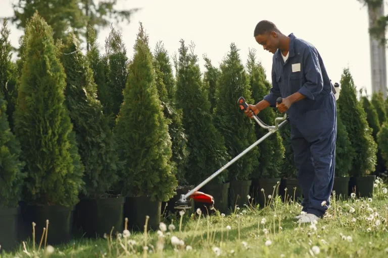 Landscaper trimming grass beside a row of young trees